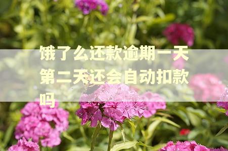 饿了么还款逾期一天第二天还会自动扣款吗