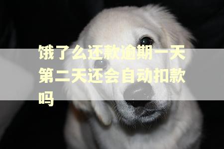 饿了么还款逾期一天第二天还会自动扣款吗