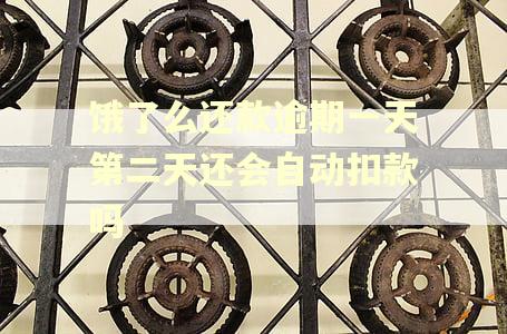 饿了么还款逾期一天第二天还会自动扣款吗