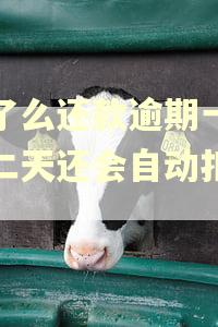 饿了么还款逾期一天第二天还会自动扣款吗 饿了么还款逾期一天第二天还会自动扣款吗