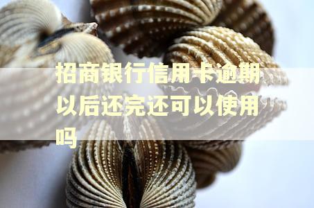招商银行信用卡逾期以后还完还可以使用吗