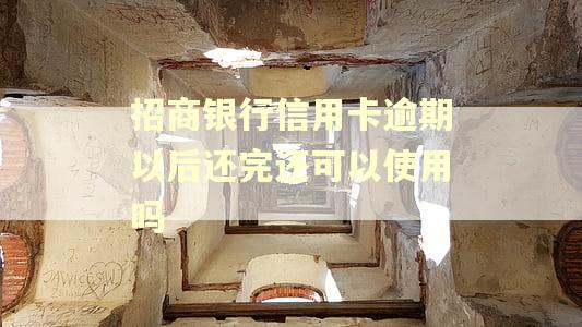 招商银行信用卡逾期以后还完还可以使用吗 招商银行信用卡逾期以后还完还可以使用吗