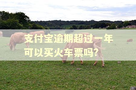 支付宝逾期超过一年可以买火车票吗?