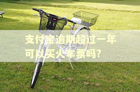 支付宝逾期超过一年可以买火车票吗?