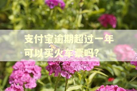 支付宝逾期超过一年可以买火车票吗?