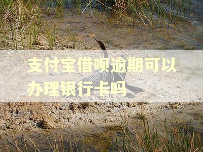 支付宝借呗逾期可以办理银行卡吗