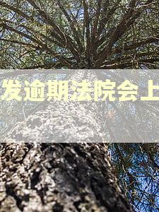 浦发逾期法院会上门吗
