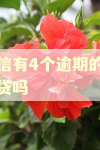 征信有4个逾期的能房贷吗