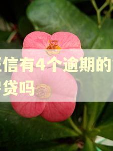 征信有4个逾期的能房贷吗 征信有4个逾期的能房贷吗