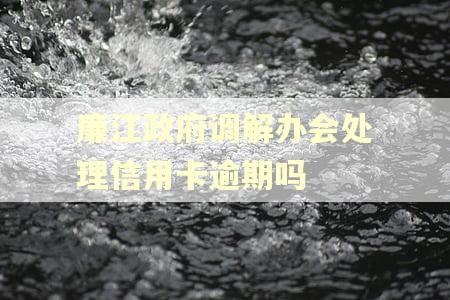 廉江政府调解办会处理信用卡逾期吗