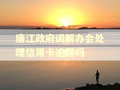廉江政府调解办会处理信用卡逾期吗