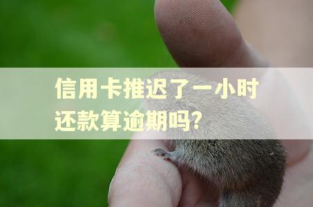 信用卡推迟了一小时还款算逾期吗?