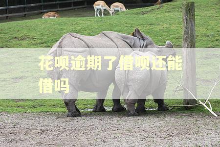 花呗逾期了借呗还能借吗