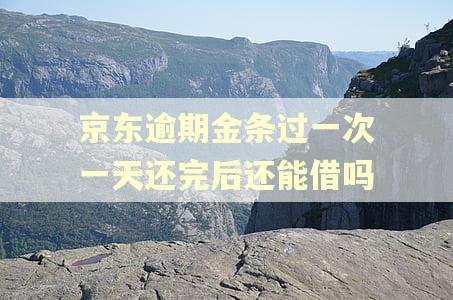京东逾期金条过一次一天还完后还能借吗