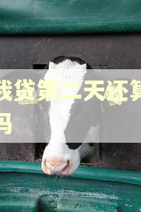 你我贷第二天还算逾期吗