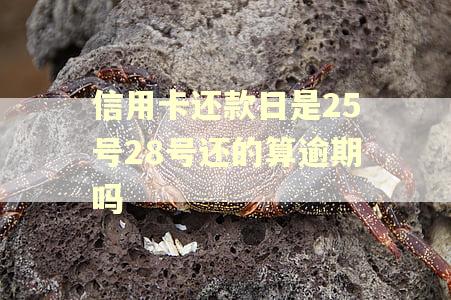 信用卡还款日是25号28号还的算逾期吗
