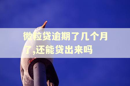 微粒贷逾期了几个月了,还能贷出来吗