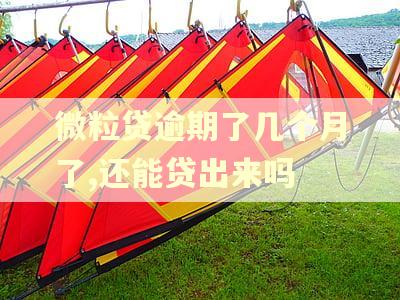 微粒贷逾期了几个月了,还能贷出来吗
