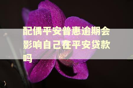 配偶平安普惠逾期会影响自己在平安贷款吗