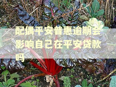 配偶平安普惠逾期会影响自己在平安贷款吗 配偶平安普惠逾期会影响自己在平安贷款吗