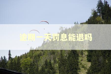 逾期一天罚息能退吗