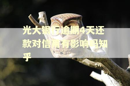 光大银行逾期4天还款对信用有影响吗知乎