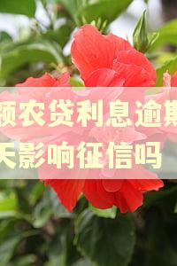 小额农贷利息逾期了两天影响征信吗