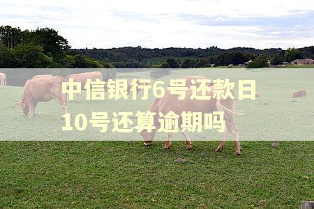 中信银行6号还款日10号还算逾期吗