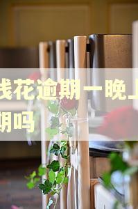 有钱花逾期一晚上算逾期吗 有钱花逾期一晚上算逾期吗
