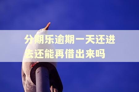 分期乐逾期一天还进去还能再借出来吗
