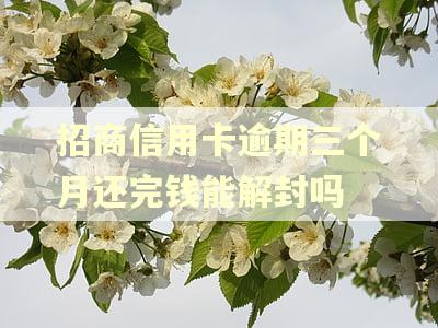 招商信用卡逾期三个月还完钱能解封吗