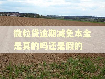 微粒贷逾期减免本金是真的吗还是假的