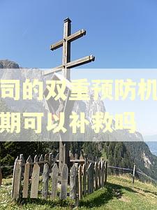 公司的双重预防机制逾期可以补救吗