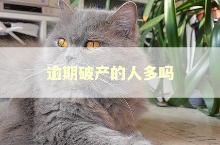 逾期破产的人多吗