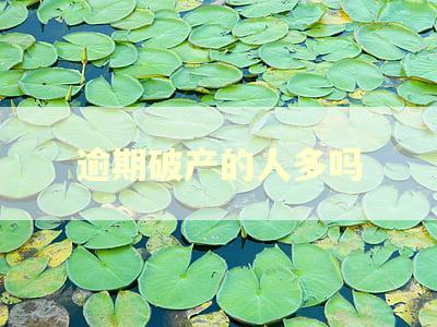 逾期破产的人多吗