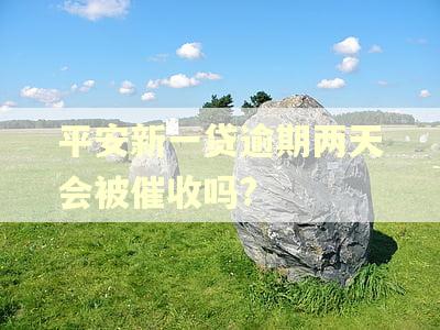平安新一贷逾期两天会被催收吗?