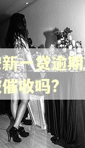 平安新一贷逾期两天会被催收吗?