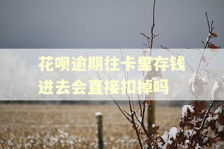 花呗逾期往卡里存钱进去会直接扣掉吗 花呗逾期往卡里存钱进去会直接扣掉吗