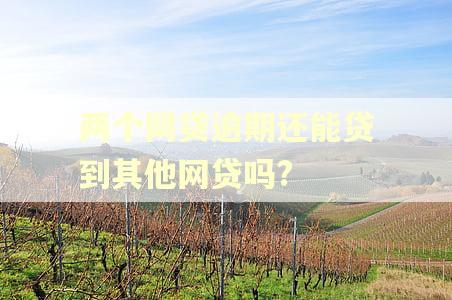 两个网贷逾期还能贷到其他网贷吗?