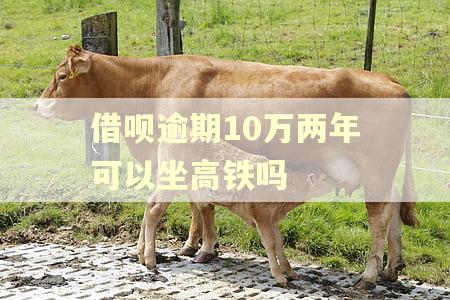 借呗逾期10万两年可以坐高铁吗