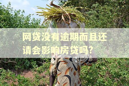 网贷没有逾期而且还请会影响房贷吗?