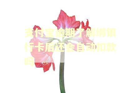 支付宝逾期了解绑银行卡后还会自动扣款吗