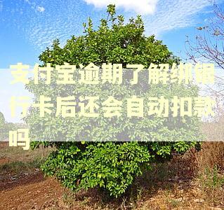 支付宝逾期了解绑银行卡后还会自动扣款吗