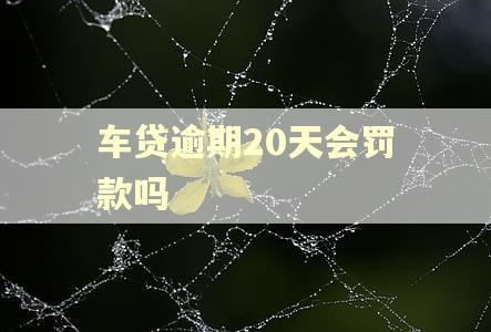 车贷逾期20天会罚款吗