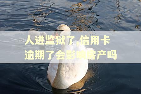 人进监狱了,信用卡逾期了会影响房产吗