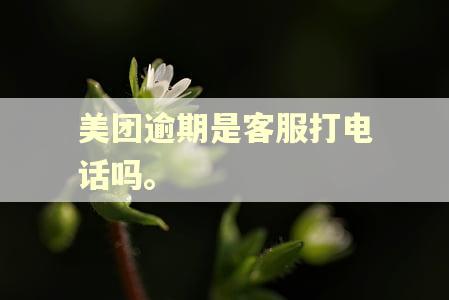 美团逾期是客服打电话吗。