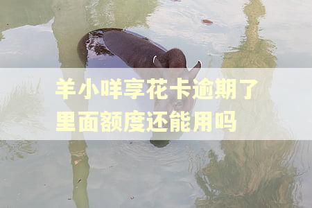 羊小咩享花卡逾期了里面额度还能用吗
