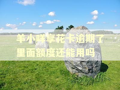 羊小咩享花卡逾期了里面额度还能用吗
