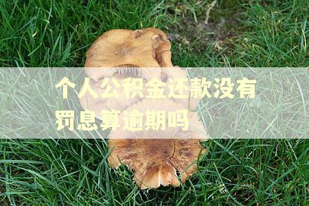 个人公积金还款没有罚息算逾期吗