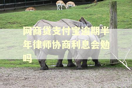 网商贷支付宝逾期半年律师协商利息会勉吗